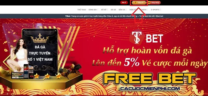 Hướng dẫn Sv388 - Bắt đầu từ thông tin bạn thực sự cần