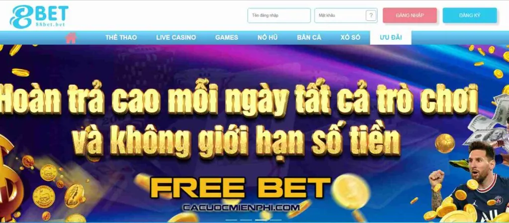 Hình minh họa hướng dẫn Dk8