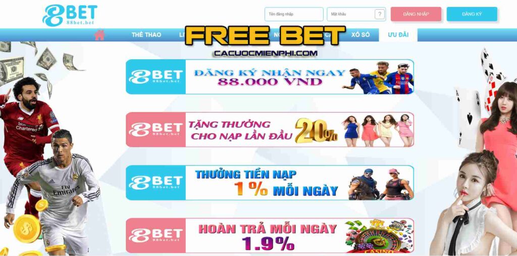 Đối chiếu thông tin thay vì suy đoán - K8vn